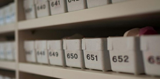 Small white labelled containers on shelves